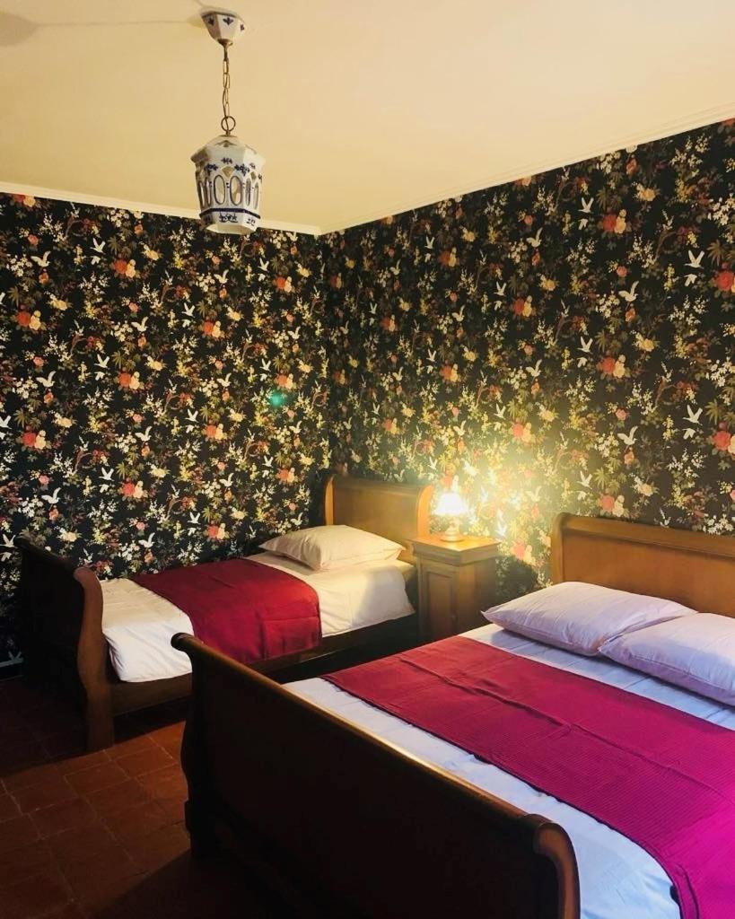 Bed and Breakfast La Babayaga Capestang Exteriér fotografie